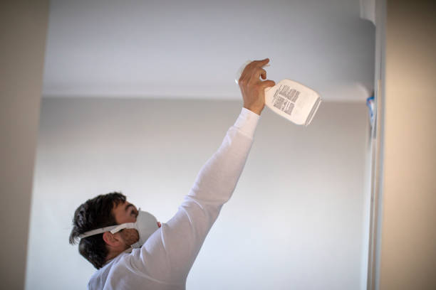 Best Mold Testing  in Big Sandy, TX