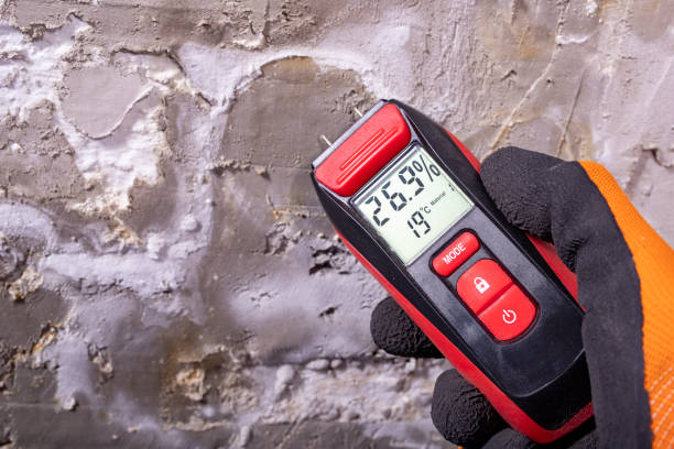  Big Sandy, TX Mold Removal Pros