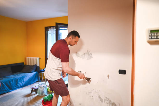 Best Mold Removal Company Near Me  in Big Sandy, TX